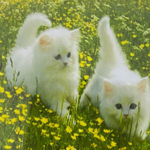 haft diamentowy 5D zestaw Diamond Painting mozaika