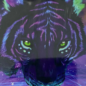 haft diamentowy 5D zestaw Diamond Painting mozaika